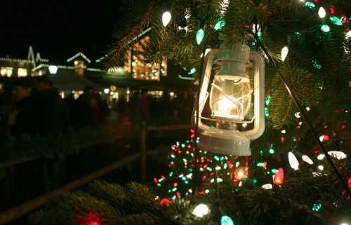 A lantern hangs on a tree adorned with colorful Christmas lights, with a festive crowd in the background.