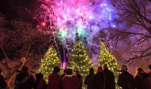 Crowd watching colorful fireworks above decorated Christmas trees at night.