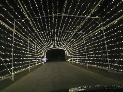 A tunnel of bright white lights creates a festive atmosphere along a dark road.