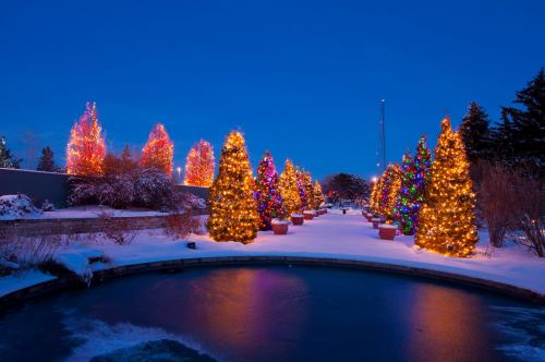 A winter scene featuring brightly lit Christmas trees surrounding a frozen pond, under a twilight sky.