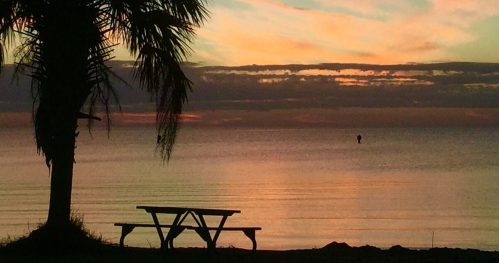Silhouette of a palm tree and picnic table against a colorful sunset over calm waters.