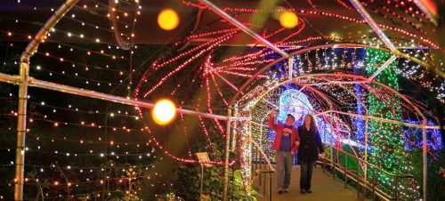 A festive light tunnel with colorful decorations, featuring two people walking and enjoying the display.