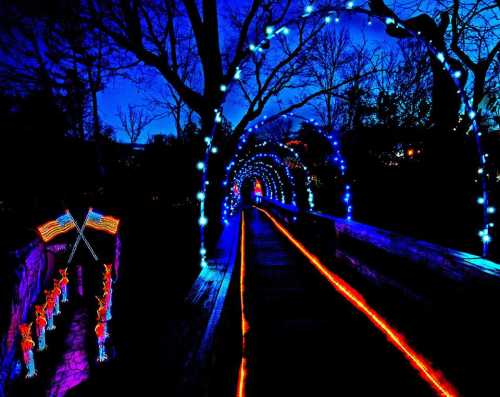 A beautifully lit pathway with blue lights and American flags, set against a twilight sky.