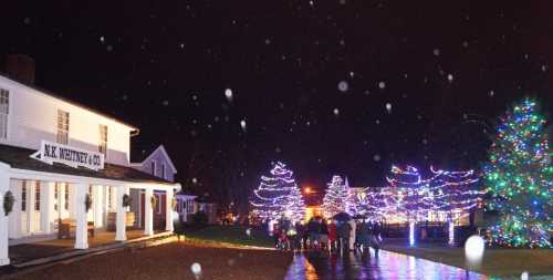 A festive scene at night with a decorated tree, colorful lights on buildings, and people walking along a wet path.