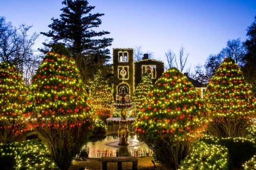 A beautifully lit garden with decorated trees and a fountain, set against a charming house at dusk.