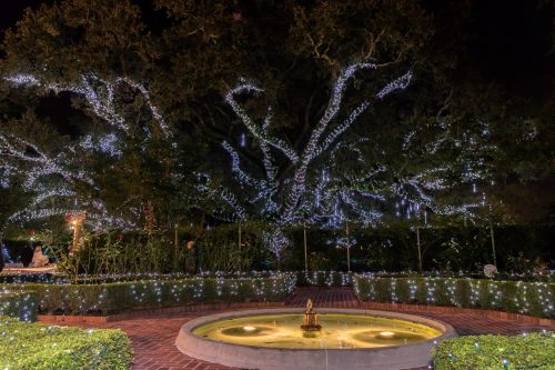 A beautifully lit tree with sparkling lights, surrounded by a fountain and festive decorations in a garden at night.