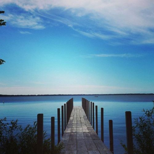 A serene lake view with a wooden dock extending into calm waters under a clear blue sky.