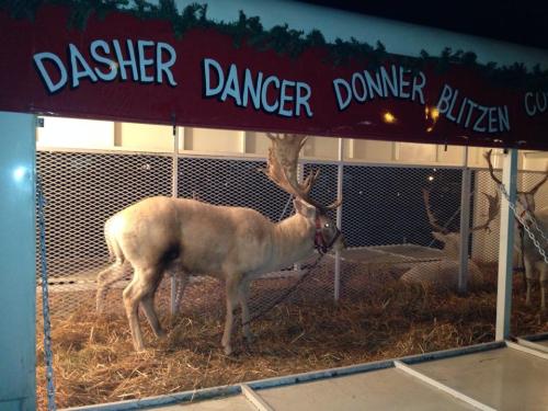 A reindeer stands in a pen decorated with a festive sign featuring the names Dasher, Dancer, Donner, and Blitzen.