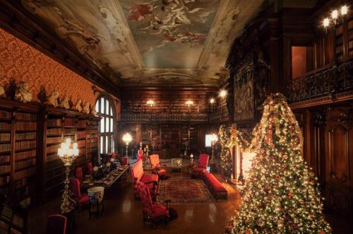 A grand library decorated for Christmas, featuring a tall tree, ornate furniture, and a beautifully painted ceiling.