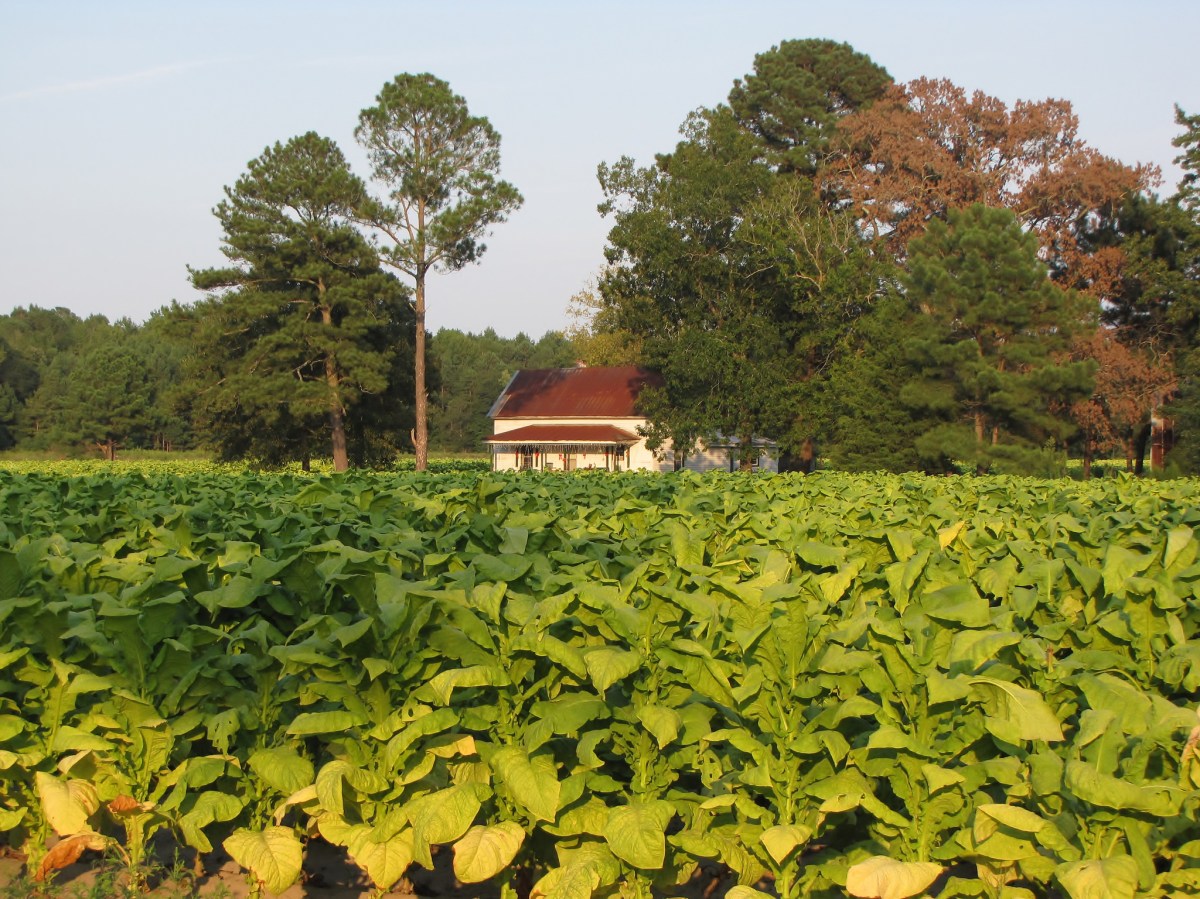 10 Ridiculous Stereotypes About North Carolina