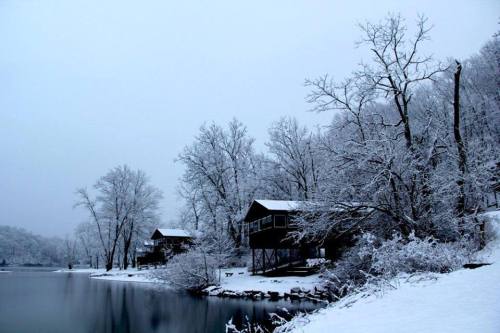 Snow-covered cabins by a tranquil lake, surrounded by frosty trees under a gray winter sky.