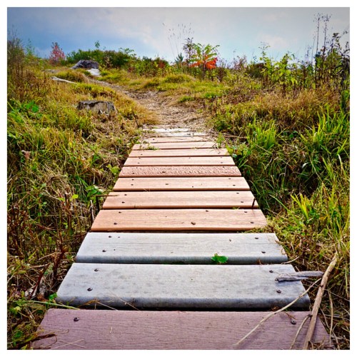 A wooden pathway leads through tall grass and shrubs, surrounded by a natural landscape under a cloudy sky.