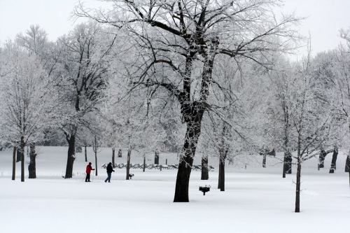 Two people and a dog walk through a snowy park, surrounded by frosted trees and a serene winter landscape.