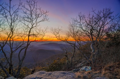 Silhouetted trees against a vibrant sunset over rolling mountains, creating a serene and colorful landscape.