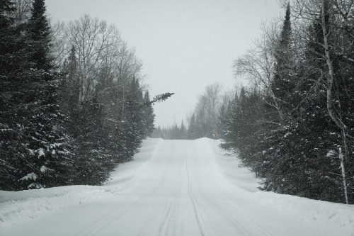 A snow-covered road flanked by trees, with heavy snowfall creating a serene, wintry landscape.