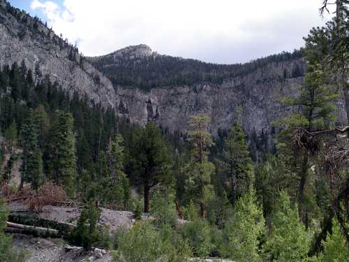 A scenic view of a mountainous landscape with tall trees and rocky cliffs under a cloudy sky.