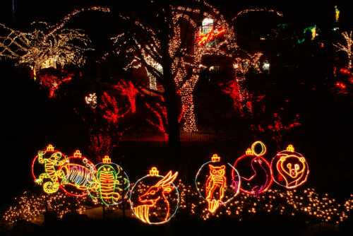 Colorful holiday lights display featuring various animal shapes and ornaments against a dark background.