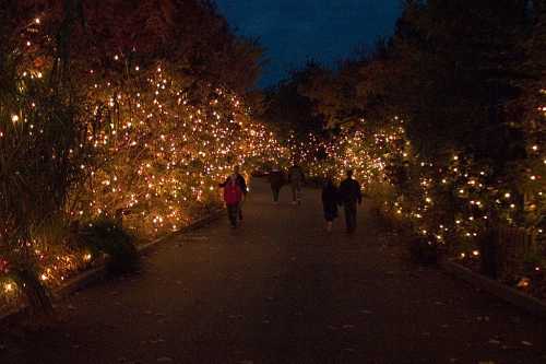 A dimly lit path lined with colorful holiday lights, with people walking along the sides.