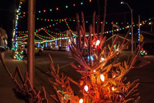 A festive street scene at night, featuring a decorated tree with colorful lights and illuminated buildings in the background.