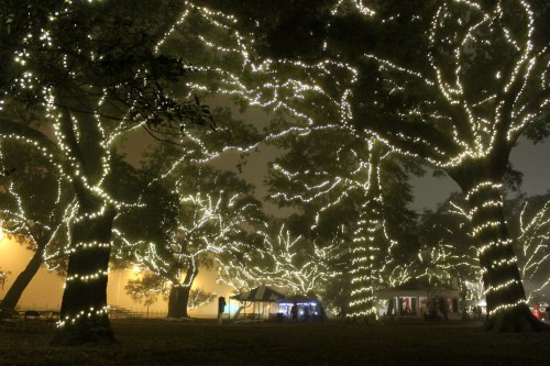 A misty park scene with large trees wrapped in glowing white lights, creating a magical atmosphere.