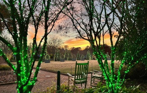 A serene garden scene at sunset, framed by trees adorned with green lights and decorated Christmas trees in the background.