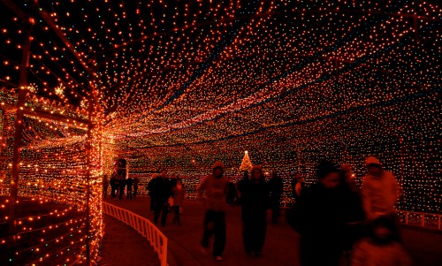 A festive display of colorful lights creates a vibrant tunnel, with people walking through the illuminated path.