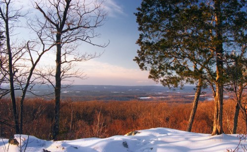 A winter landscape with snow-covered ground, bare trees, and a distant view of rolling hills under a clear sky.