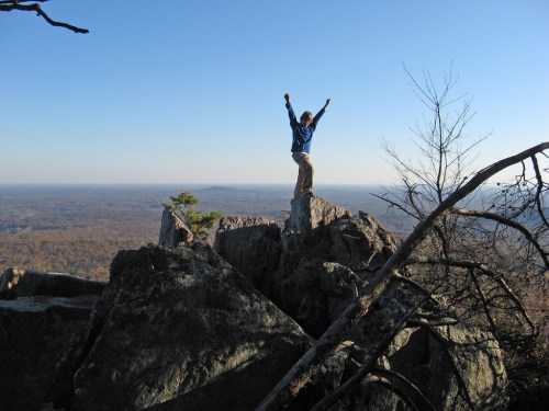 A person stands triumphantly on a rocky outcrop, arms raised, overlooking a vast landscape of trees and hills.