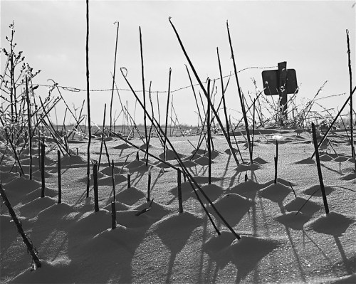 Black and white image of snow-covered ground with tall, thin sticks and a distant sign partially obscured by snow.