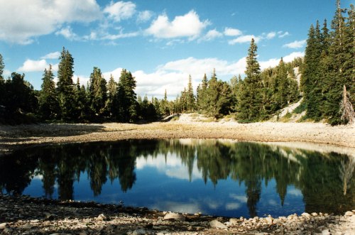 A serene lake surrounded by trees, reflecting the blue sky and clouds above.