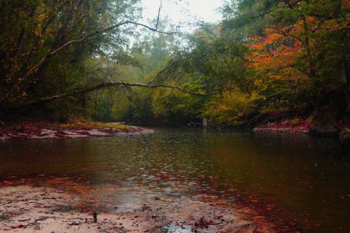 A serene river scene with autumn foliage, gentle rain, and a sandy bank surrounded by lush greenery.