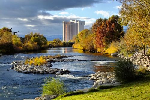 A serene river flows past colorful autumn trees, with a tall building visible in the background under a cloudy sky.