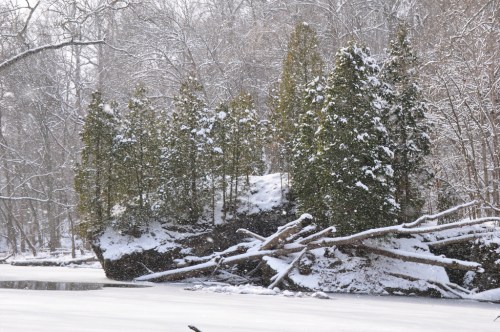 Snow-covered trees on a rocky outcrop by a frozen river, surrounded by a winter landscape.