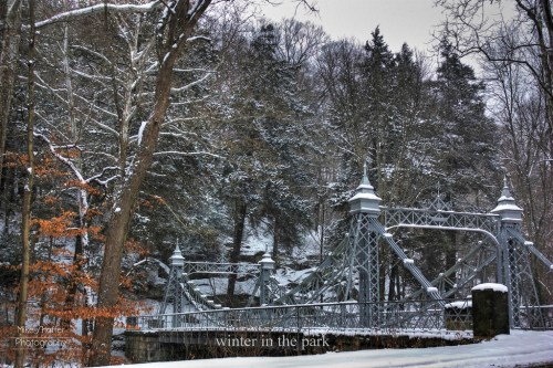 A snow-covered park scene featuring a decorative bridge surrounded by trees in winter.