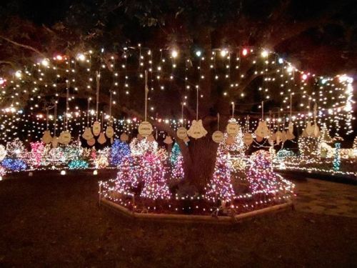 A tree adorned with colorful lights and ornaments, surrounded by glowing holiday decorations in a festive display.