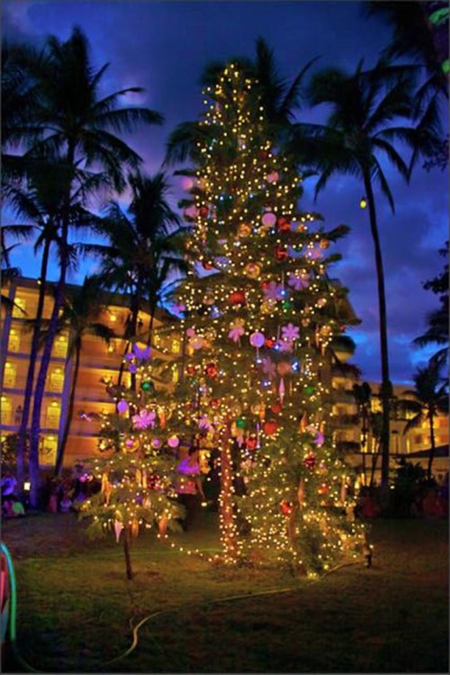 A beautifully lit Christmas tree adorned with colorful decorations, surrounded by palm trees at dusk.