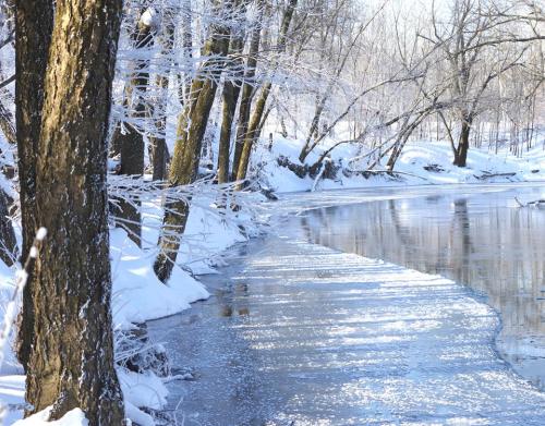 A serene winter scene with snow-covered trees lining a calm, partially frozen river.