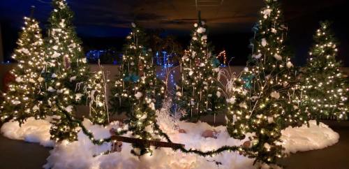 A festive display of decorated Christmas trees surrounded by snow-like decorations and twinkling lights.