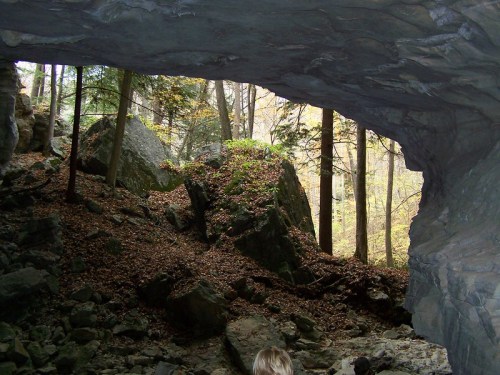 View from inside a cave, showing rocky terrain and trees with autumn leaves outside.