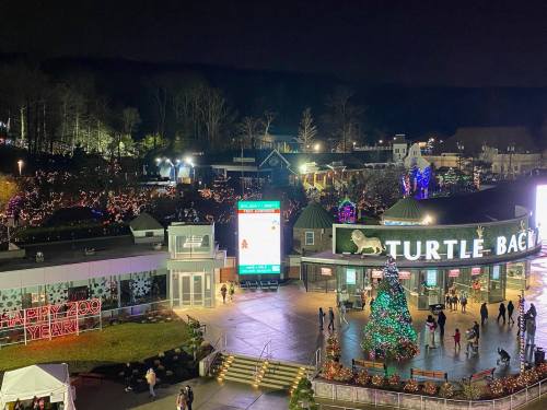A festive night scene at Turtle Back Zoo, adorned with holiday lights and a large Christmas tree.