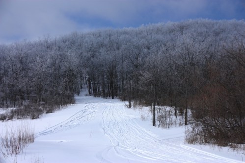 A snowy landscape with a trail leading through frosted trees and a hill under a cloudy sky.