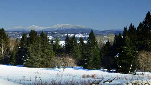 Snow-covered landscape with evergreen trees and distant mountains under a clear blue sky.