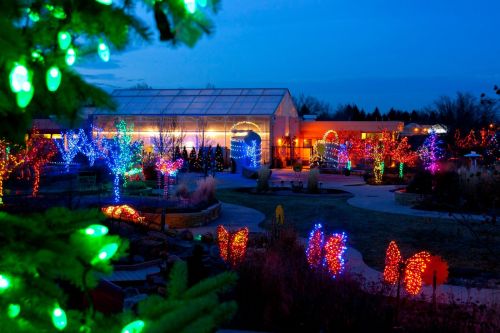 A garden illuminated with colorful holiday lights at dusk, featuring trees and decorative butterflies.