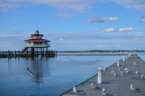 A scenic view of a pier with a gazebo, surrounded by calm water and seagulls under a blue sky with clouds.