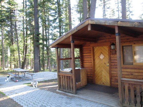 A wooden cabin surrounded by trees, with a picnic table nearby and two dogs in the foreground.