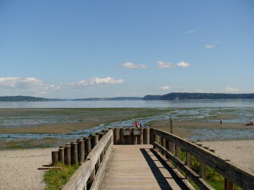 A wooden pier extends over a calm beach, with low tide revealing wet sand and distant hills under a clear blue sky.