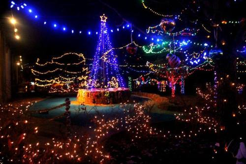 A beautifully lit outdoor scene featuring a decorated Christmas tree surrounded by colorful lights and festive decorations.
