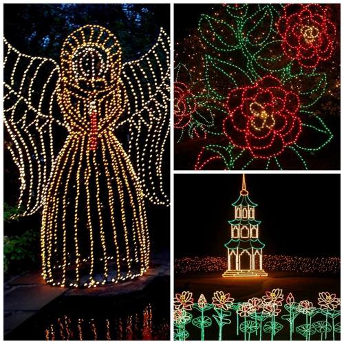 A collage of festive light displays featuring an angel, red roses, and a decorative pagoda.