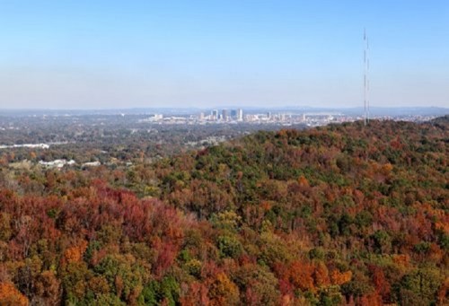 A panoramic view of a colorful autumn forest with a city skyline in the distance under a clear blue sky.