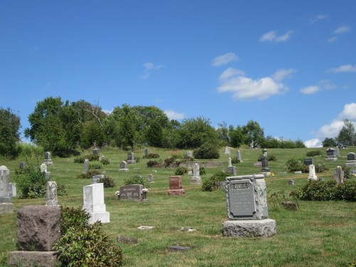 A peaceful cemetery with various gravestones set against a blue sky and green trees in the background.